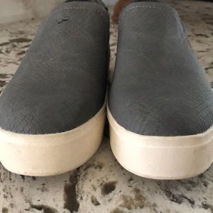 Dr. Schol’s Grey Shoes